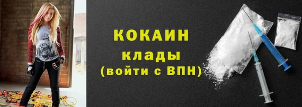 прущие грибы Вяземский