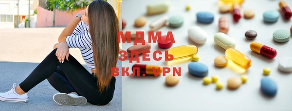 прущие грибы Вяземский