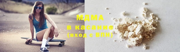 шишки Щигры