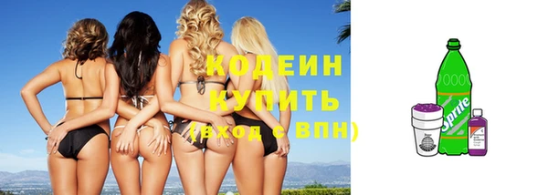прущие грибы Вяземский
