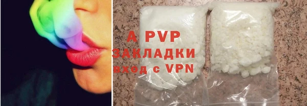 шишки Щигры