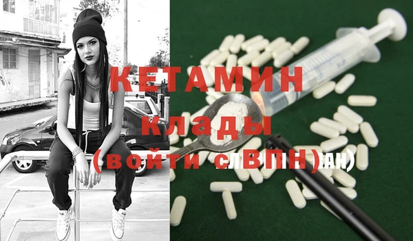 прущие грибы Вяземский