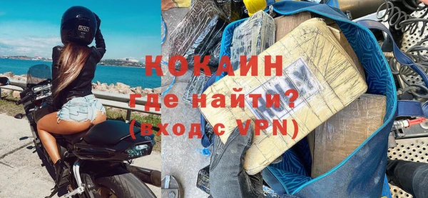 прущие грибы Вяземский
