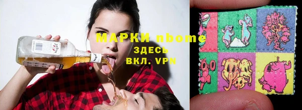 прущие грибы Вяземский
