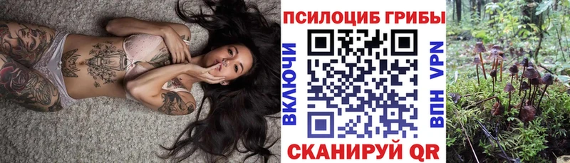Псилоцибиновые грибы Cubensis  где купить наркоту  Гулькевичи 