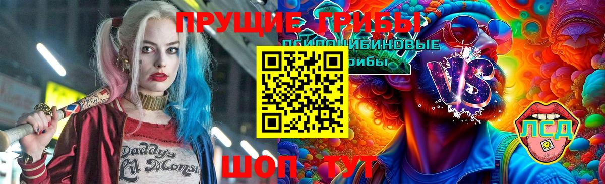 Галлюциногенные грибы прущие грибы  Псилоцибиновые грибы Psilocybine cubensis  Вход с VPN  Гулькевичи 